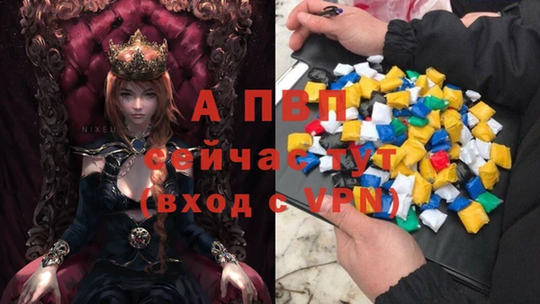 крисы Верея