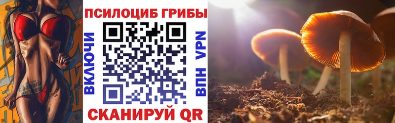Псилоцибиновые грибы прущие грибы  Мариинск 